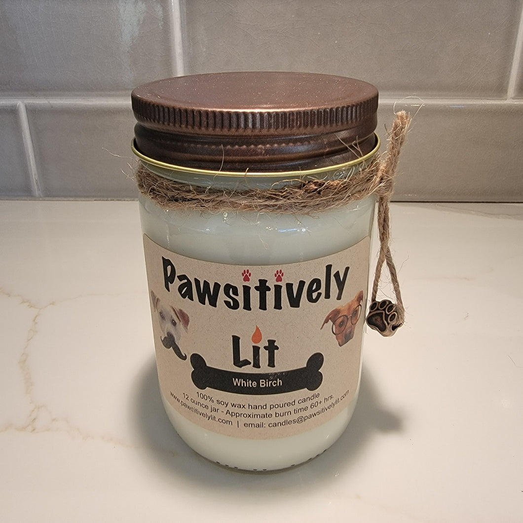 White Birch Scented Pawsitively Lit 100% Soy Wax Mason Jar Candle