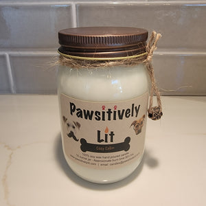 Cozy Cabin Scented Pawsitively Lit 100% Soy Wax Mason Jar Candle
