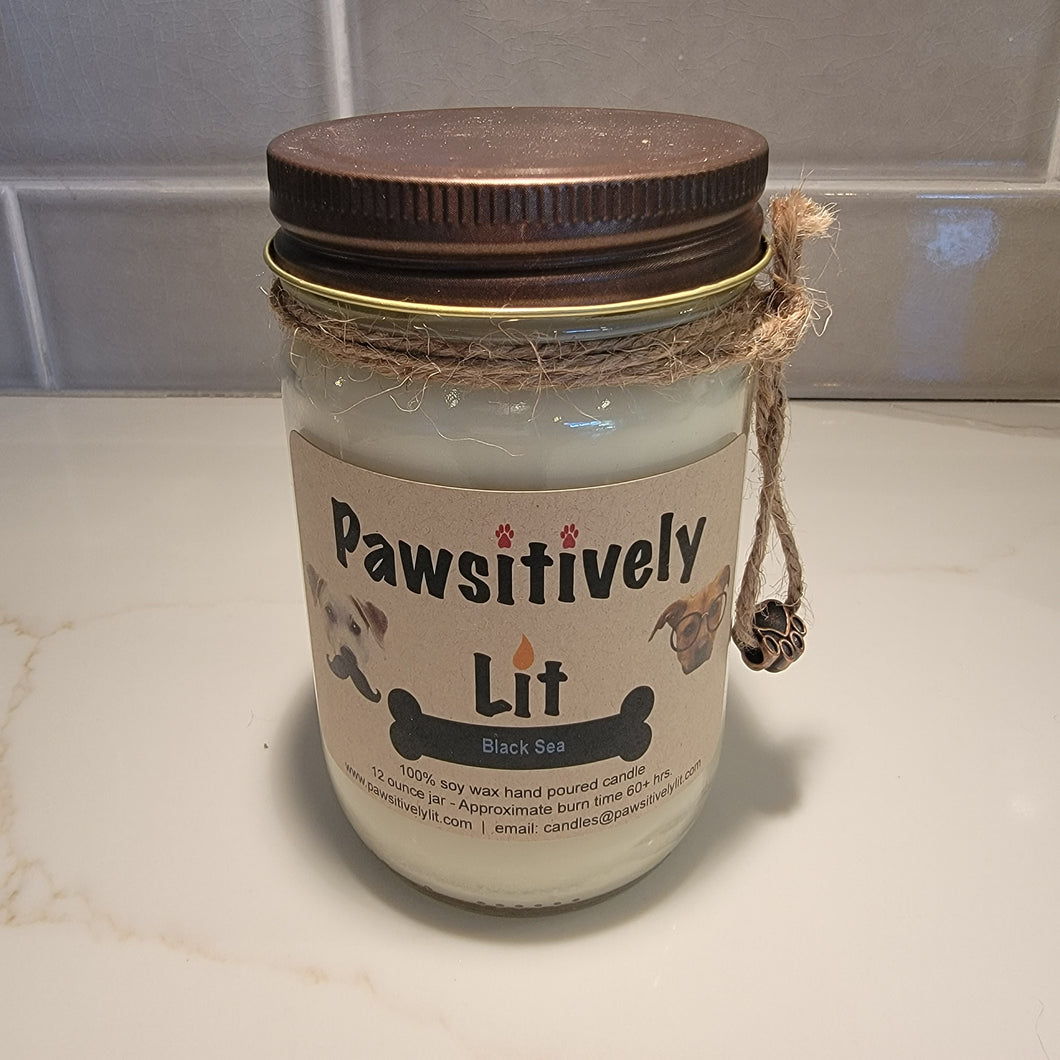 Black Sea Scented Pawsitively Lit 100% Soy Wax Mason Jar Candle