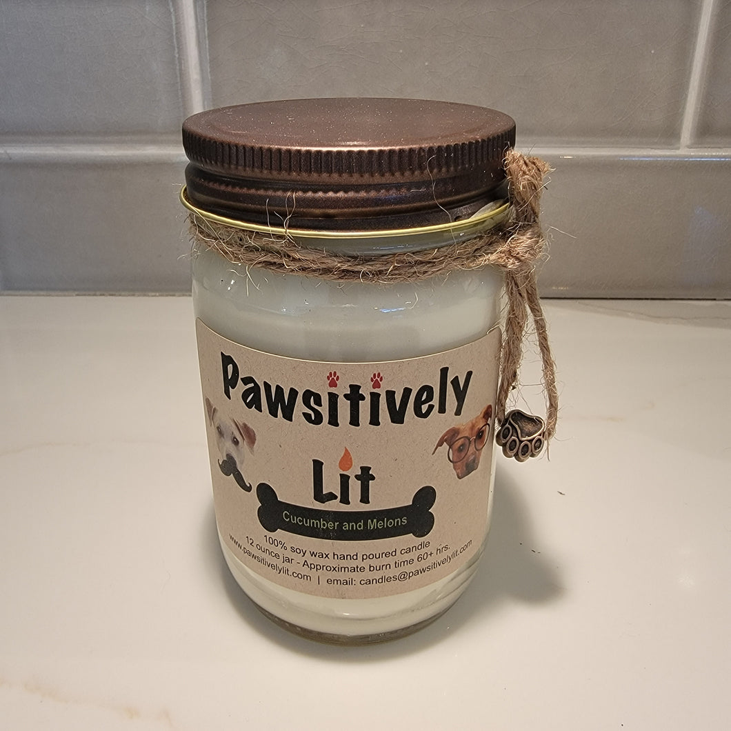 Cucumber and Melons Scented Pawsitively Lit 100% Soy Wax Mason Jar Candle